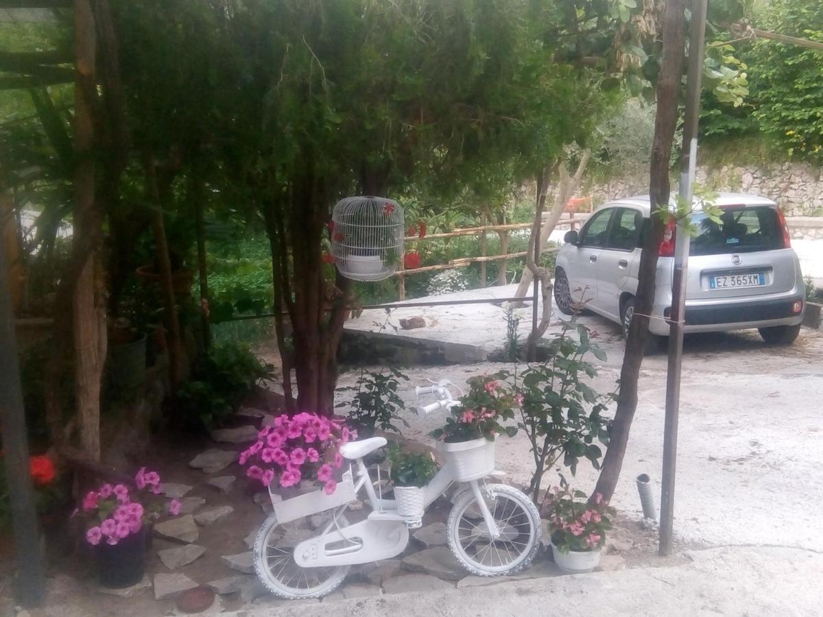 Amaa Casa Bed & Breakfast Vico Equense Dış mekan fotoğraf
